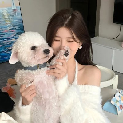 调查犯罪是我们的职业